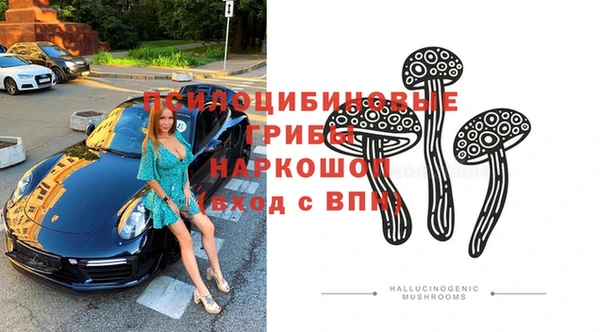apvp Алзамай
