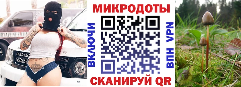 Псилоцибиновые грибы мицелий  Опочка 